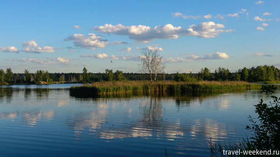 Прогулки по Лосиному острову